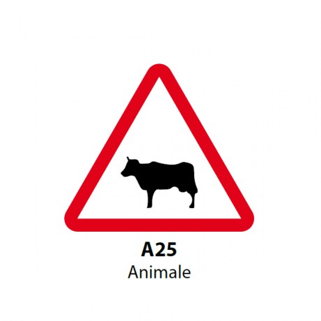 Animale (domestice)