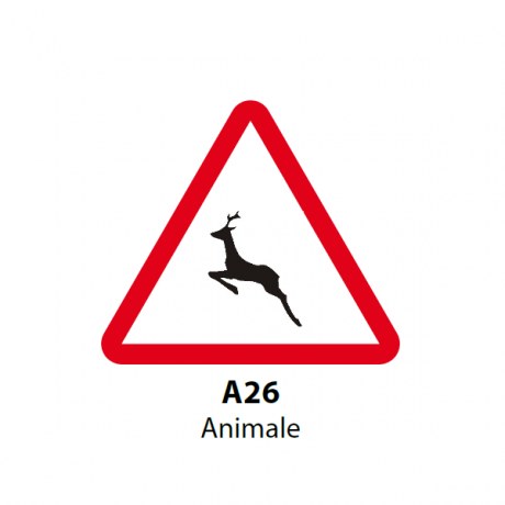 Animale (salbatice)